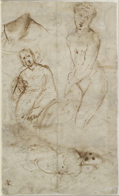 Verso: Various Studies by Raffaello Sanzio Raphael